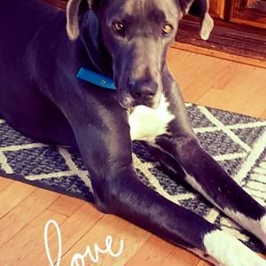 Meet your Posher, Christy corcoran